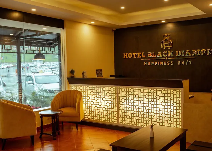 Hotel Black Diamond - Transit Point Inside Airport Katmandou